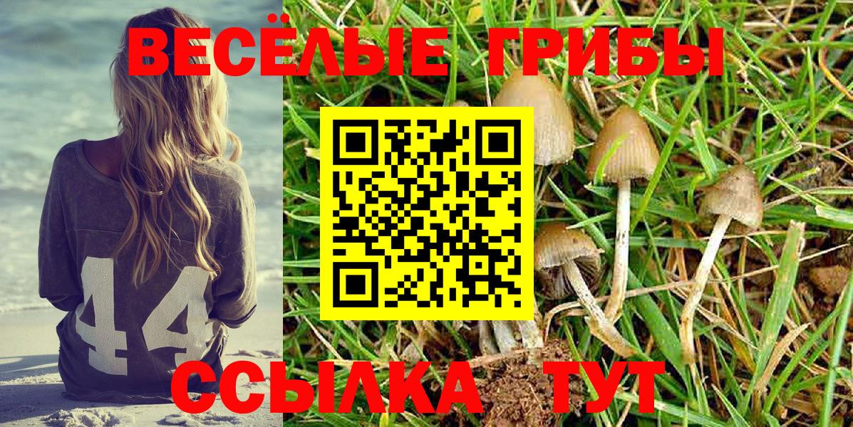 Кострома  Псилоцибиновые грибы Magic Shrooms  Вход с VPN 