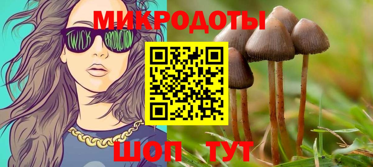 Галлюциногенные грибы Psilocybe Кострома